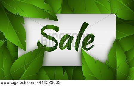 Sale Background With Green Leaves And Rectangular White Frame. Template Design For Posters, Flyers, 