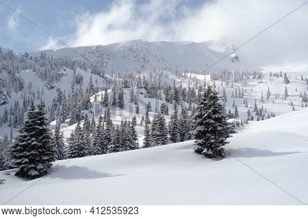 Winter in Godeanu Mountains, Carpathians, Romania, Europe