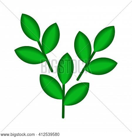 Vector Illustration With Three 3d Stems Isolated On White Background. A Group Of Plants With Green G