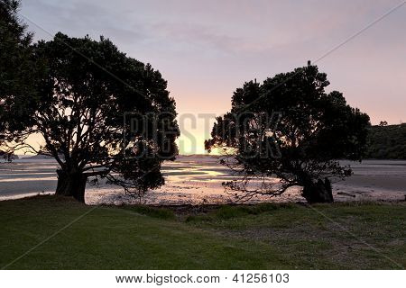  Solnedgang på Shelly beach på Coromandel New Zealand