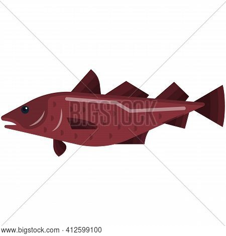 Cod Fish Vector Illustration Isolated On White