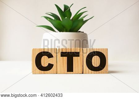 A Word Cto On Wooden Cubes. Business Concept. Business And Finance