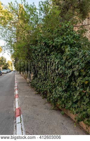 Jerusalem, Israel, February 27, 2021 : Evening View Of The Quiet, Green Hovevei Tsiyon Street In The