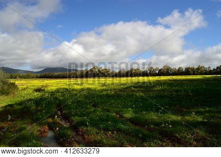 View Of The Country Near Baratz Lake