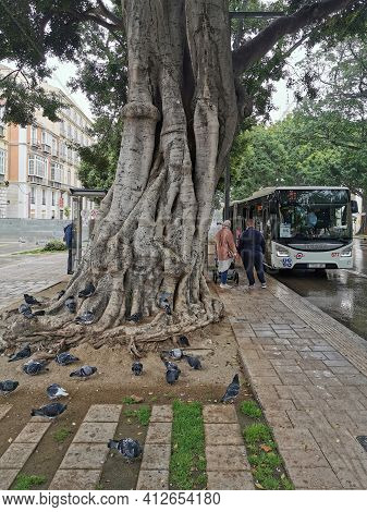 Málaga, Spain - February 21, 2021: View Of Streets Of Soho Málaga In A Rainy Day