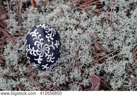 One With Wax Painted White-and-black Easter Egg On A Natural Forest Cover - Gray Clipped Lichens, Cl