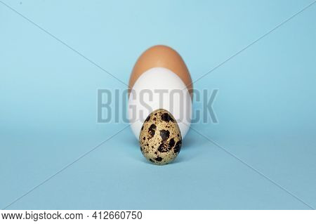 Three Type Of Different Birds Eggs Isolated On Blue Paper Background. Various Size And Kind Choice C