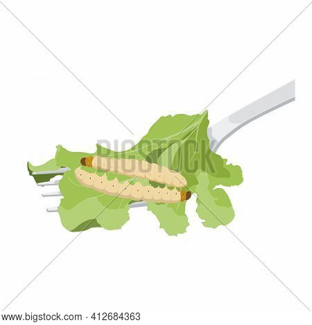 Food Insects: Bamboo Worm Or Bamboo Caterpillar Insect Deep-fried Crispy For Eating As Food Items On