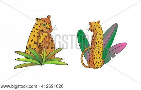 Spotted Leopard With Yellowish Skin And Long Body Sitting In Tropical Leaves Vector Set