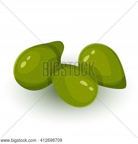 Terminalia Ferdinandiana Plum Cockatoo. Food Illustration, Kakadu Plum Fruit Exotica Australia Isola