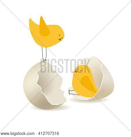 Two Small Pretty Chicken Talking Closed To Cracked Egg. Easter Festive Liiustration.