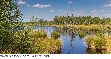 Panorama Of Wetlands Of The National Park Dwingelderveld In Drenthe, Netherlands