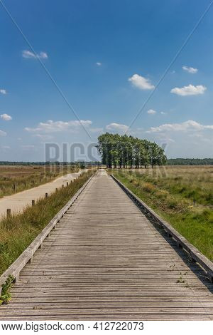 Wooden Bicycle Bridge In National Park Dwingelderveld, Netherlands