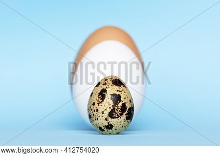Three Type Of Different Birds Eggs Isolated On Blue Paper Background. Various Size And Kind Choice C
