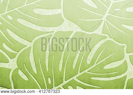 Pattern With Monstera Palm Branches, Green Tropical Tree Leaves On White Background