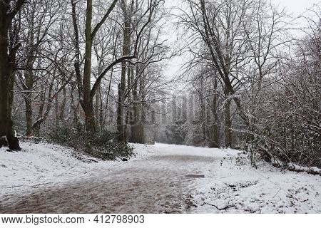Snowy Path In Hamsptead Heath Taken On A Cold Day During Winter In London, England, United Kingdom