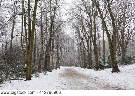 Snowy Path In Hamsptead Heath Taken On A Cold Day During Winter In London, England, United Kingdom