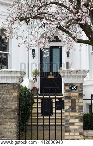 Kensington, London, England, United Kingdom - March 05 2021: Tree Blossoming At 45 Argyll Rd (w8 7da