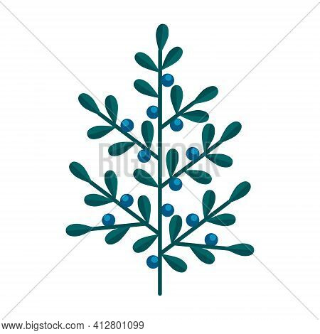 Simple Minimalistic Green Branch Of Blueberry With Blue Berries. Floral Collection Of Elegant Plants