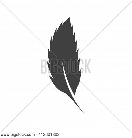 Single Leaf Mint Icon. A Simple Image Of A Curved Mint Leaf Bathed In Black. Isolated Vector On Pure