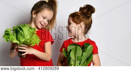 Children Like To Eat Well. Two Little Girls Talking To Each Other, Holding Two Different Types Of Fr