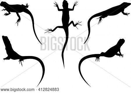 Set Of Lizards Black Silhouette Vector Illustration Isolated