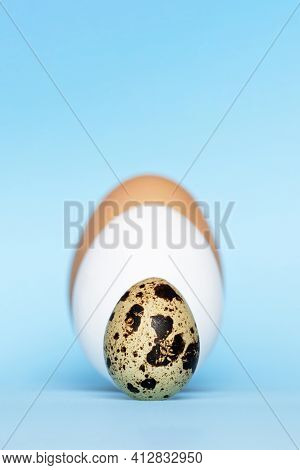 Three Type Of Different Birds Eggs Isolated On Blue Paper Background. Various Size And Kind Choice C