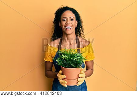 Middle age african american woman holding plant pot smiling and laughing hard out loud because funny crazy joke. 