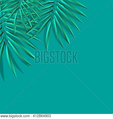 Green Palm Leaf Vector For Background. Tropical Palm Frond Frame. Summer Tropical Leaves. Summer Gre