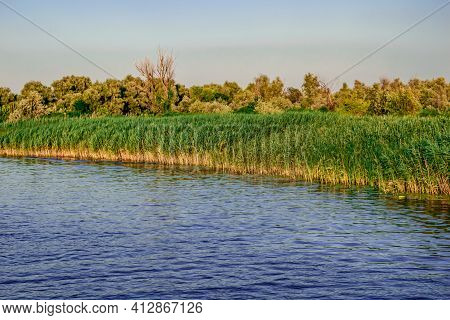 Floodplain Of The Konka River In Kherson (ukraine). Beautiful Natural Landscape With Reeds On A Swam