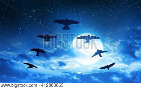 Silhouette flock of birds flying in V-formation at the background night sky with full moon. 