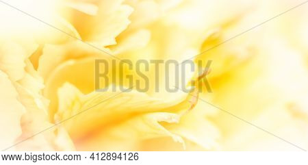 Retro Art, Vintage Card And Botanical Concept - Abstract Floral Background, Yellow Carnation Flower 
