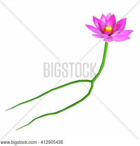 3D Rendering Lous Flower On White
