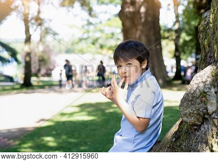 High Key Protrait Happy Boy Eatting Chocolate Cake Siting In The Park, Kid Looking At Camera With Sm