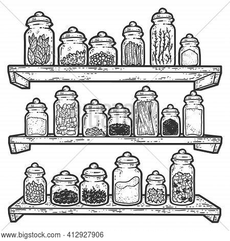 A Large Set Of In A Jar. Herb Shelves. Sketch Scratch Board Imitation.