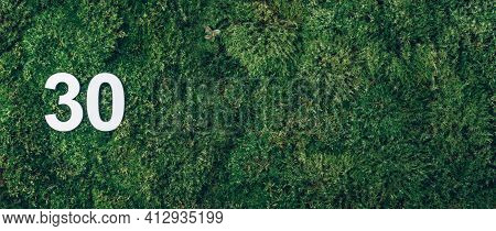 Green Grass, Digit Thirty. Birthday Greeting Card With Inscription 30. Anniversary Concept. Banner. 