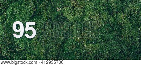 Green Grass, Digit Ninety-five. Birthday Greeting Card With Inscription 95. Anniversary Concept. Ban