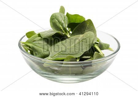 Frescas espinacas en un recipiente (clipping Path incluido)