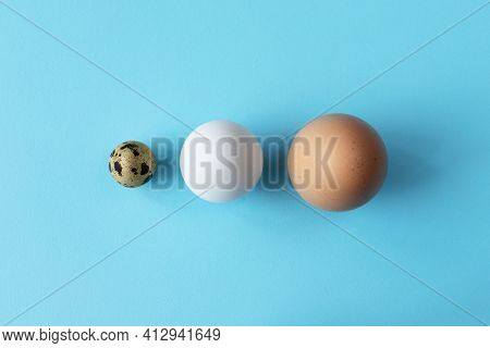 Three Type Of Different Birds Eggs Isolated On Blue Paper Background. Various Size And Kind Choice C