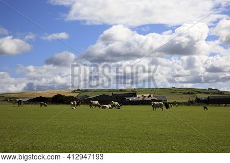 Yesnaby - Orkney (scotland), Uk - August 07, 2018: The Landscape Near Yesnaby Cliffs Area, Stromness
