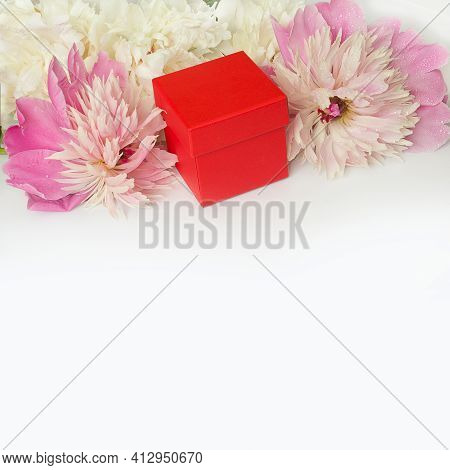 Pink Peony Flowers Round And Red Box On White Background With Copy Space.