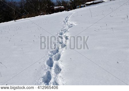A Paved Footpath From A Man's Feet In A Winter Snowy Landscape