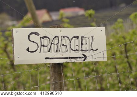 Asparagus Sign In German (spargel)