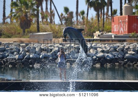 Dolphin jump