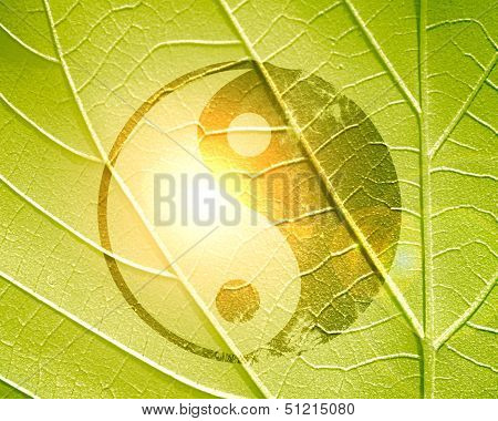 Yin Yang Sign