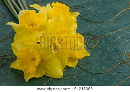 Jonquil Flowers
