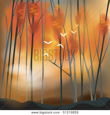 Barren Forest Background In Sunset Scene