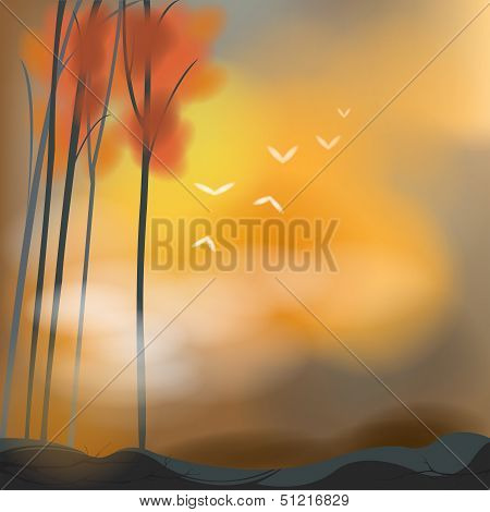 Barren background in sunset scene