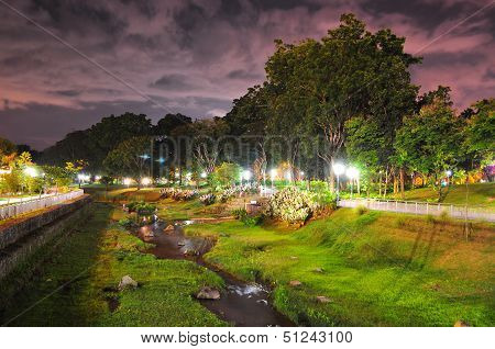 Bishan Park with greenery by night