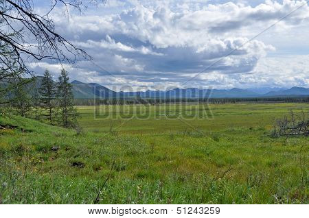 Swampy Plain Under The Blue Sky.